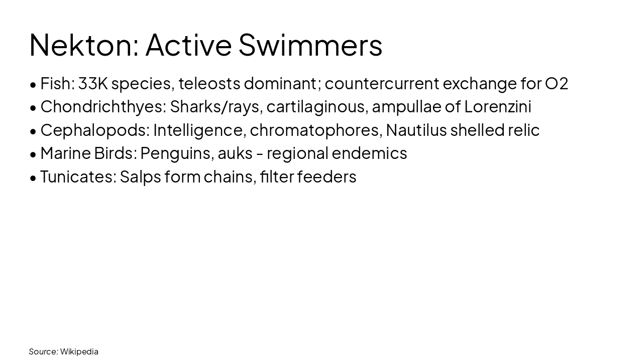 Slide 11 - Nekton: Active Swimmers