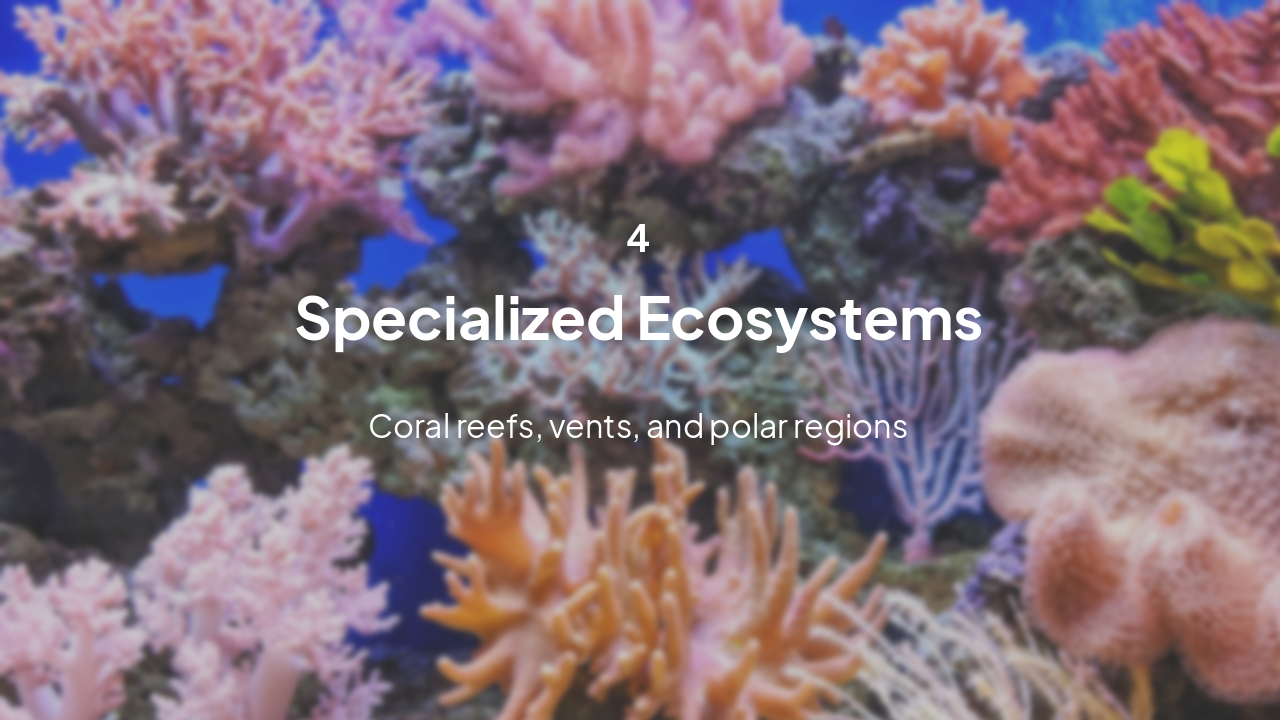 Slide 13 - Section 4