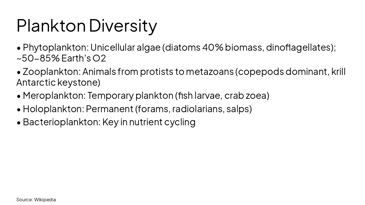 Slide 8 - Plankton Diversity