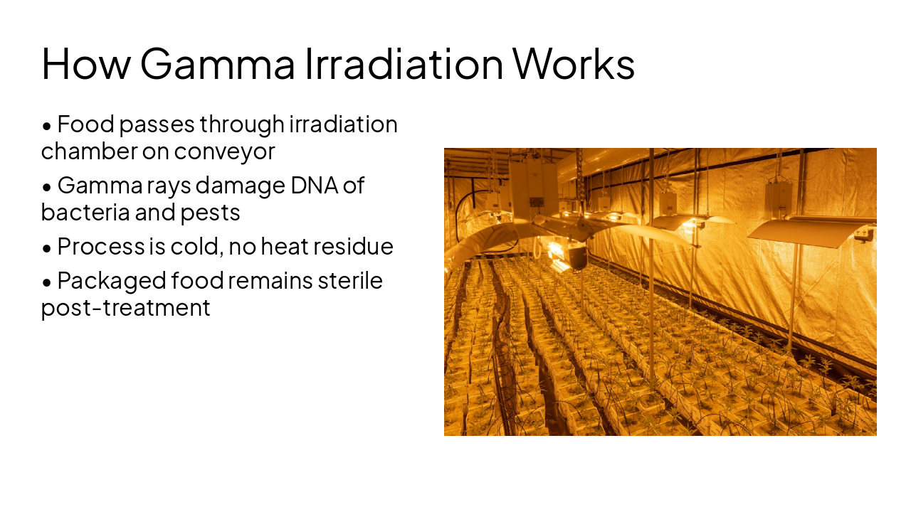 Slide 4 - How Gamma Irradiation Works