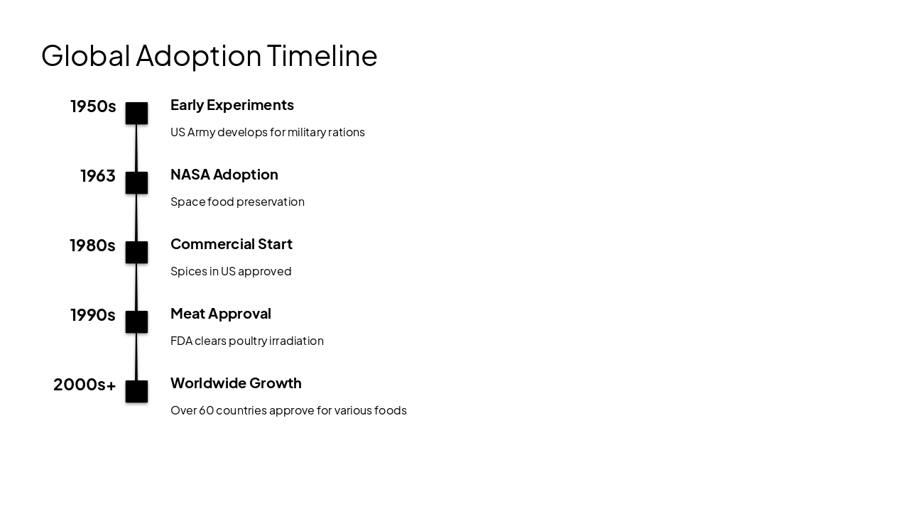 Slide 8 - Global Adoption Timeline