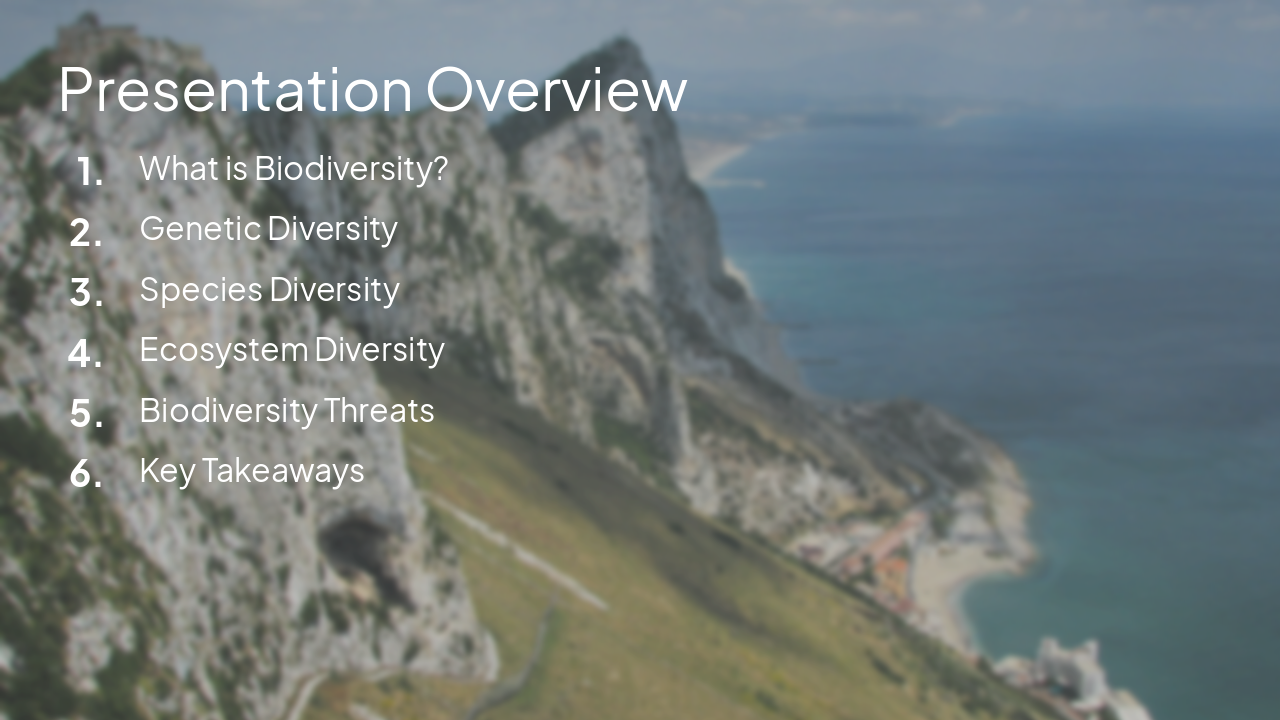 Slide 2 - Presentation Overview