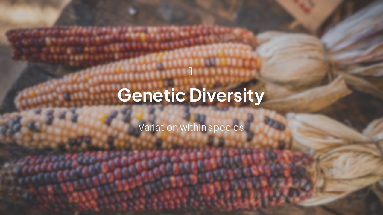 Slide 4 - Genetic Diversity