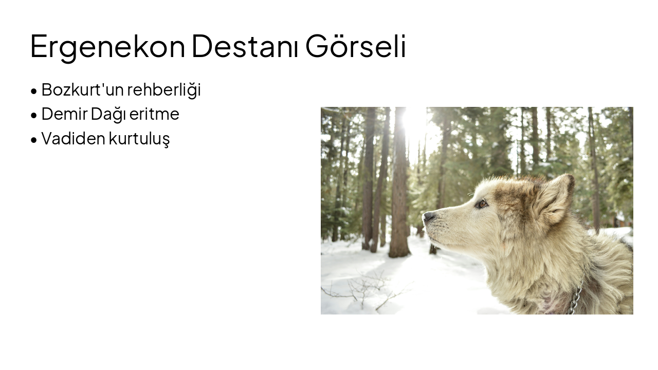 Slide 8 - Ergenekon Destanı Görseli