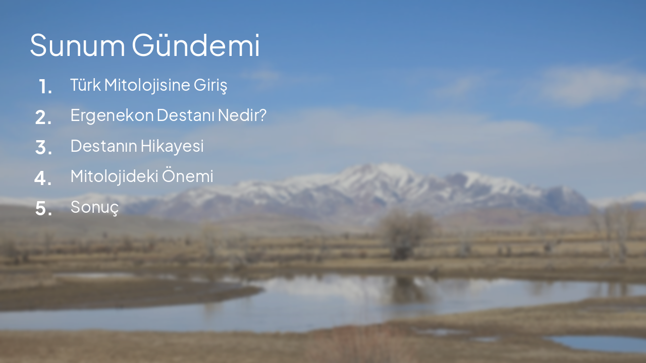 Slide 2 - Sunum Gündemi