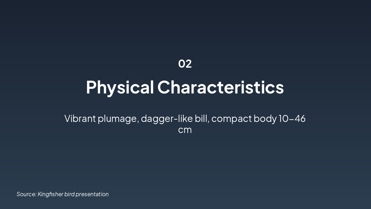 Slide 3 - Physical Characteristics