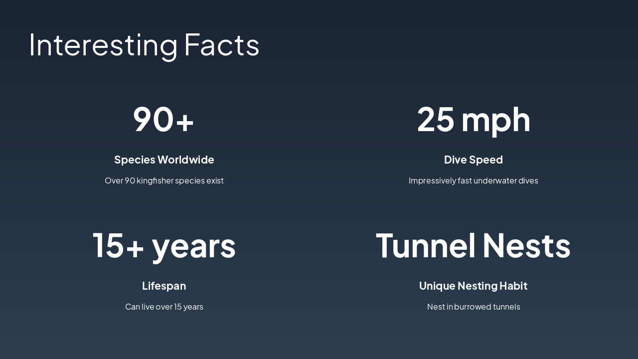 Slide 7 - Interesting Facts