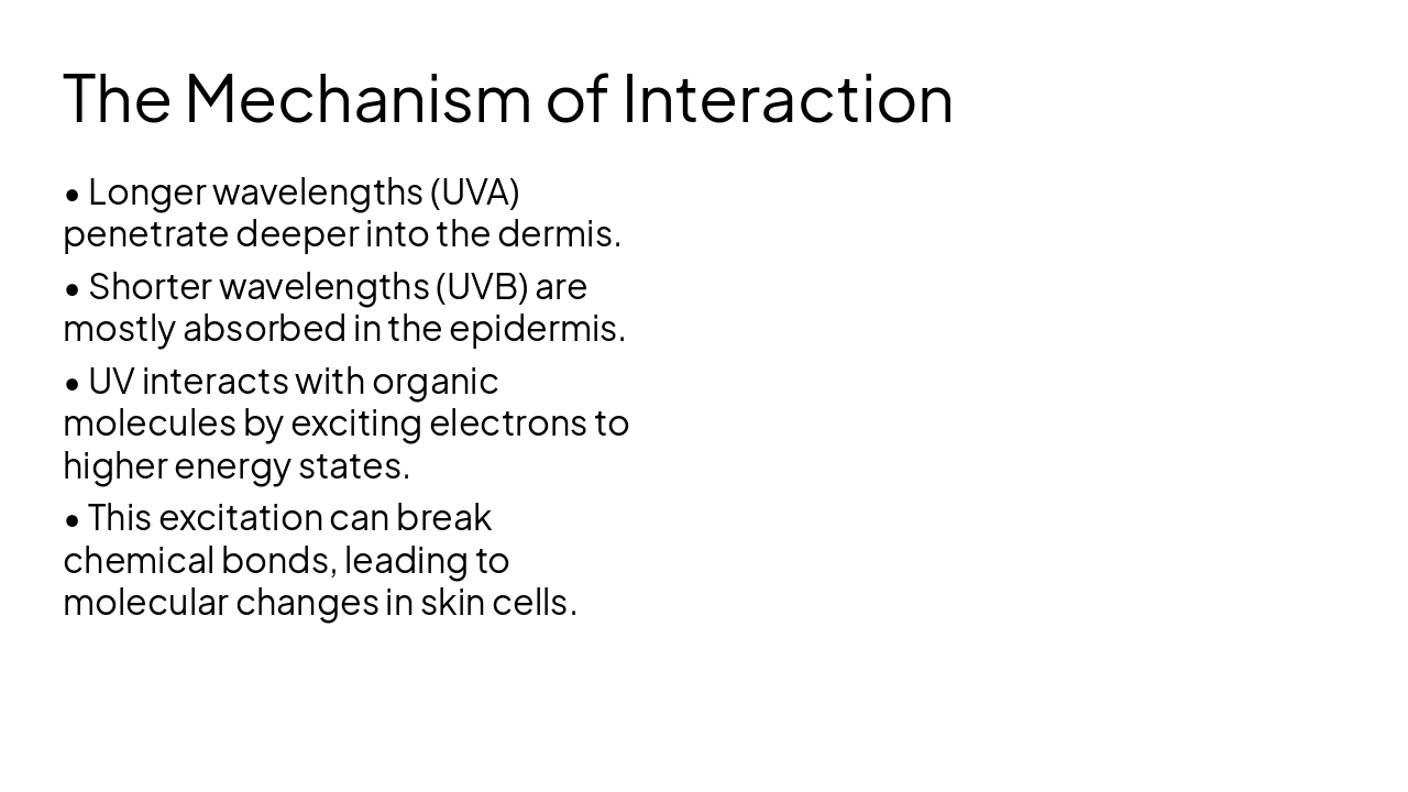 Slide 4 - The Mechanism of Interaction