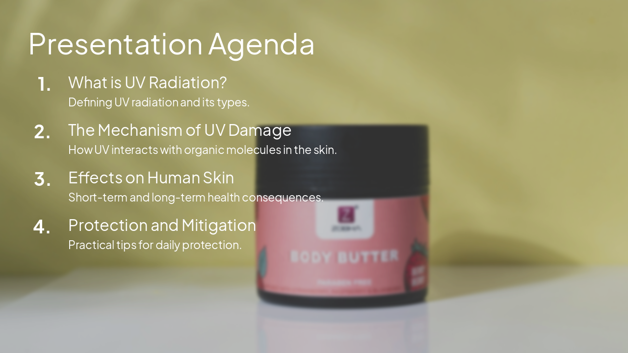 Slide 2 - Presentation Agenda