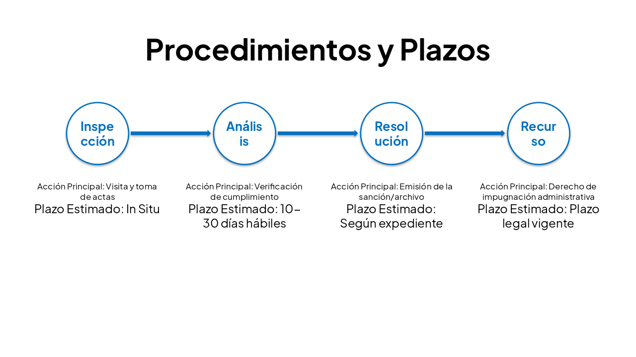 Slide 9 - Procedimientos y Plazos
