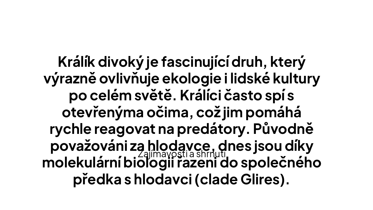 Slide 10 - Závěr a zajímavosti