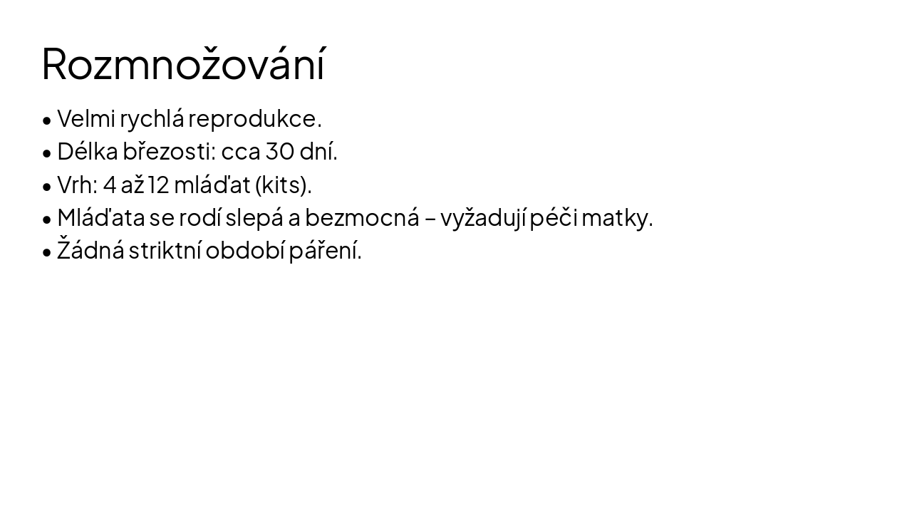 Slide 7 - Rozmnožování