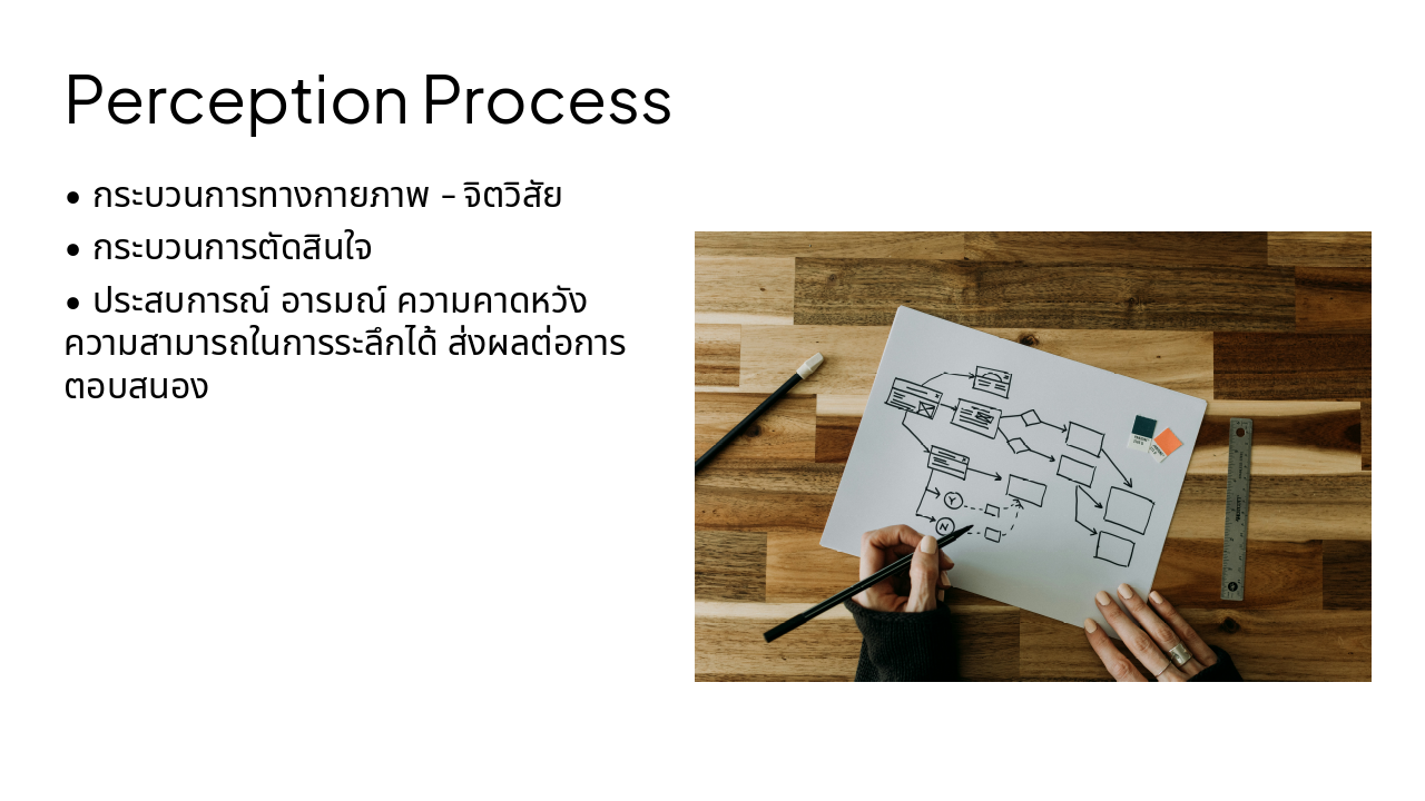 Slide 5 - Perception Process