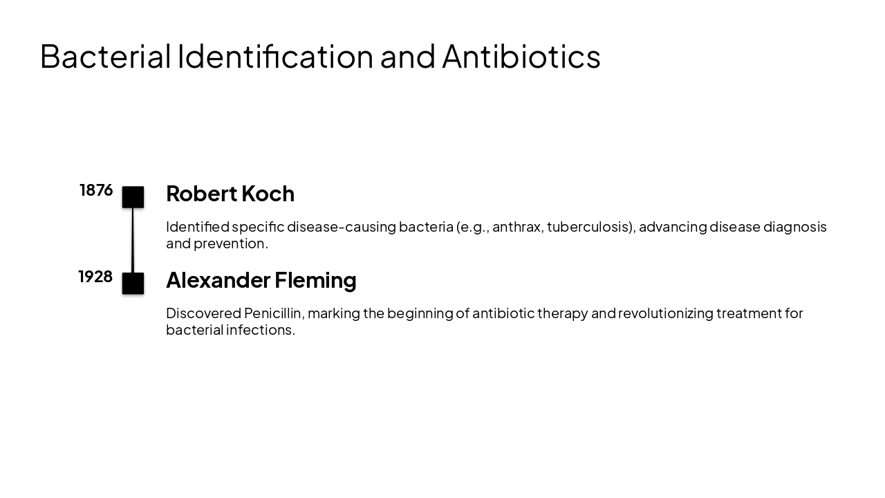 Slide 5 - Bacterial Identification and Antibiotics