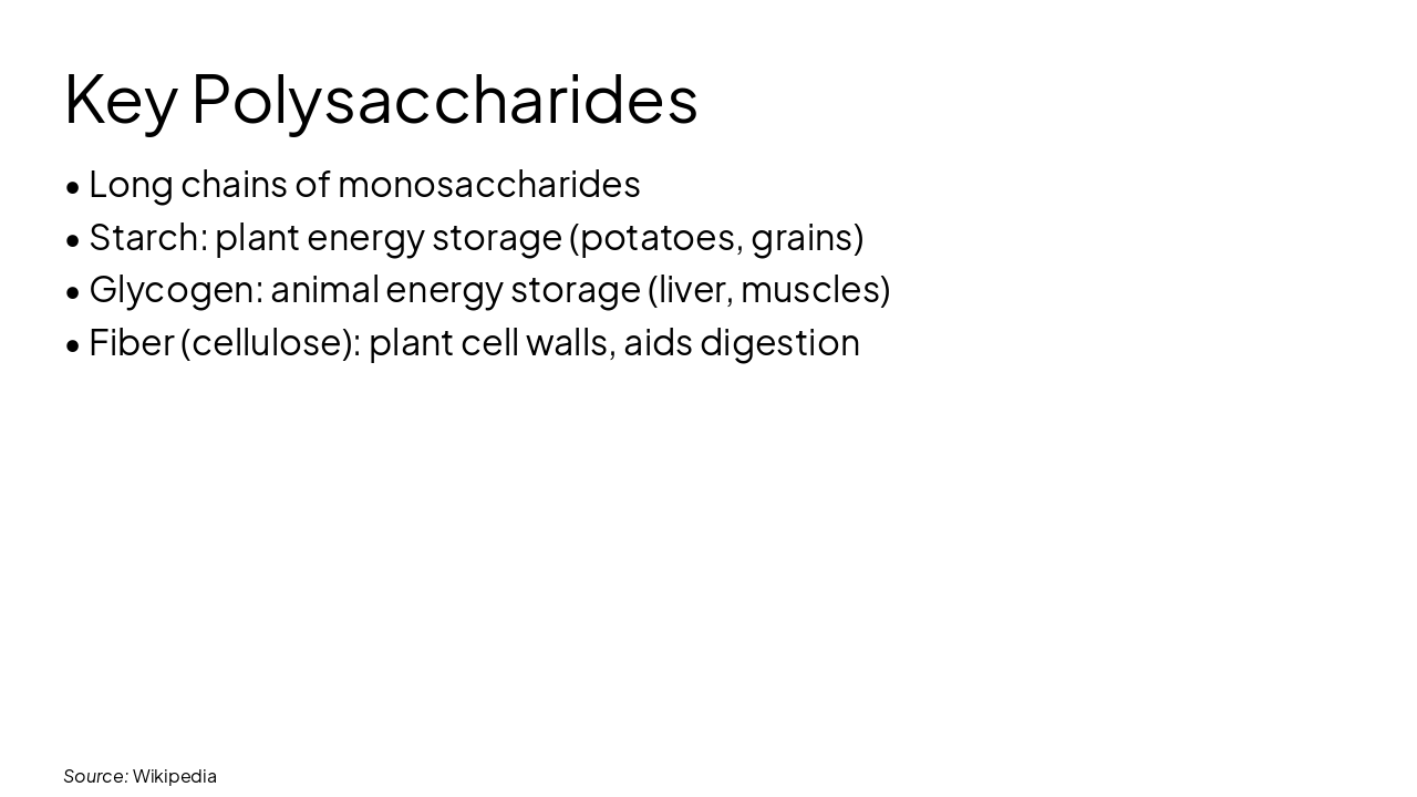 Slide 9 - Key Polysaccharides
