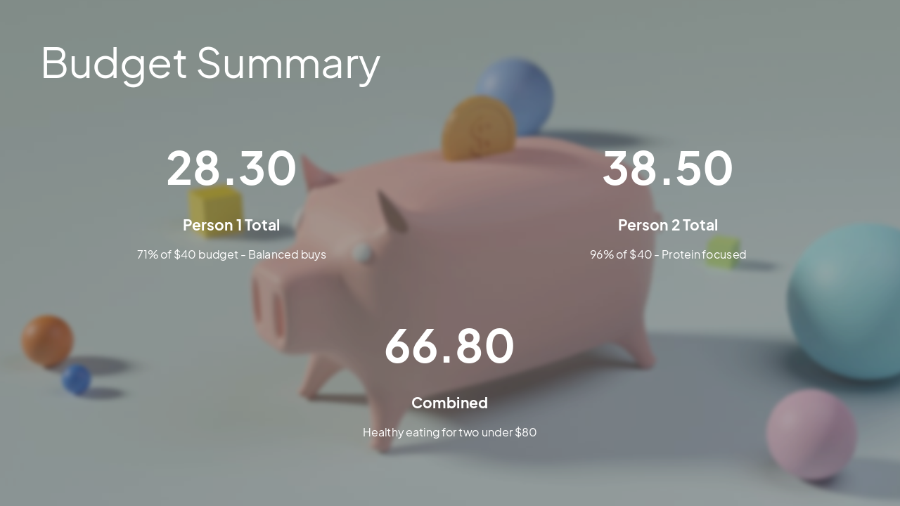 Slide 13 - Budget Summary