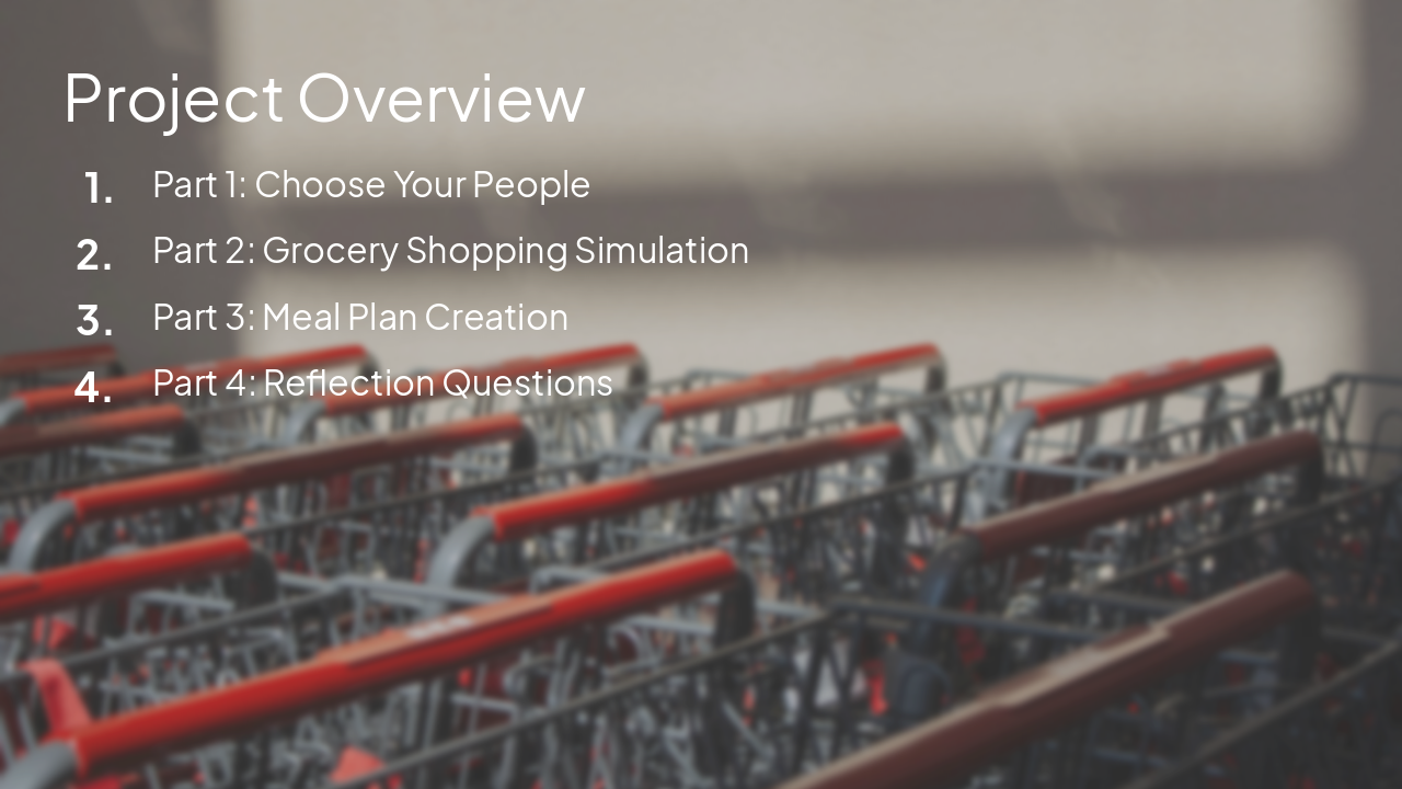 Slide 2 - Project Overview