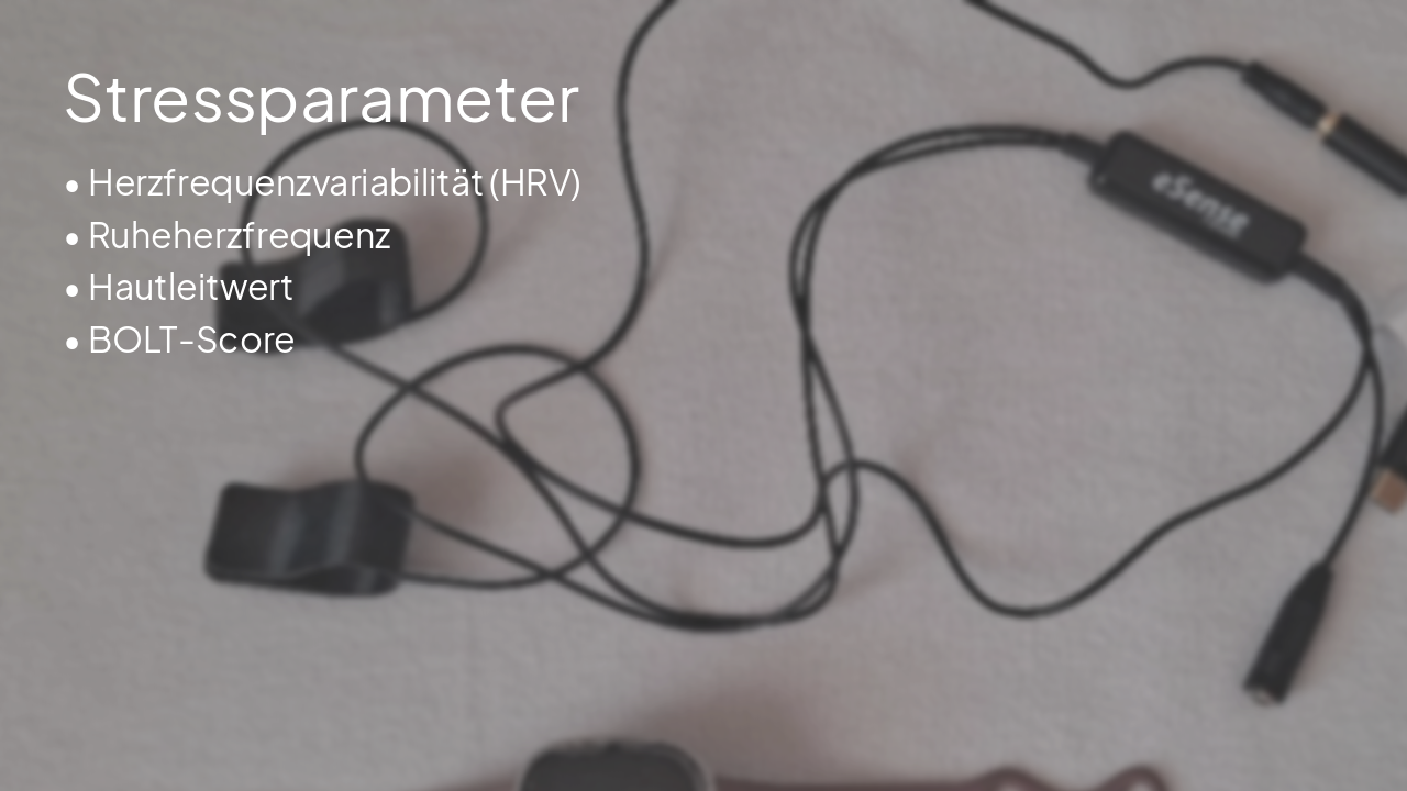 Slide 13 - Stressparameter