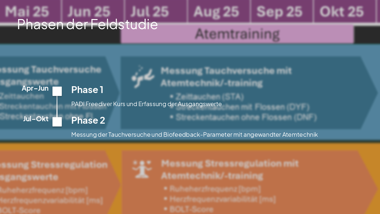 Slide 14 - Phasen der Feldstudie