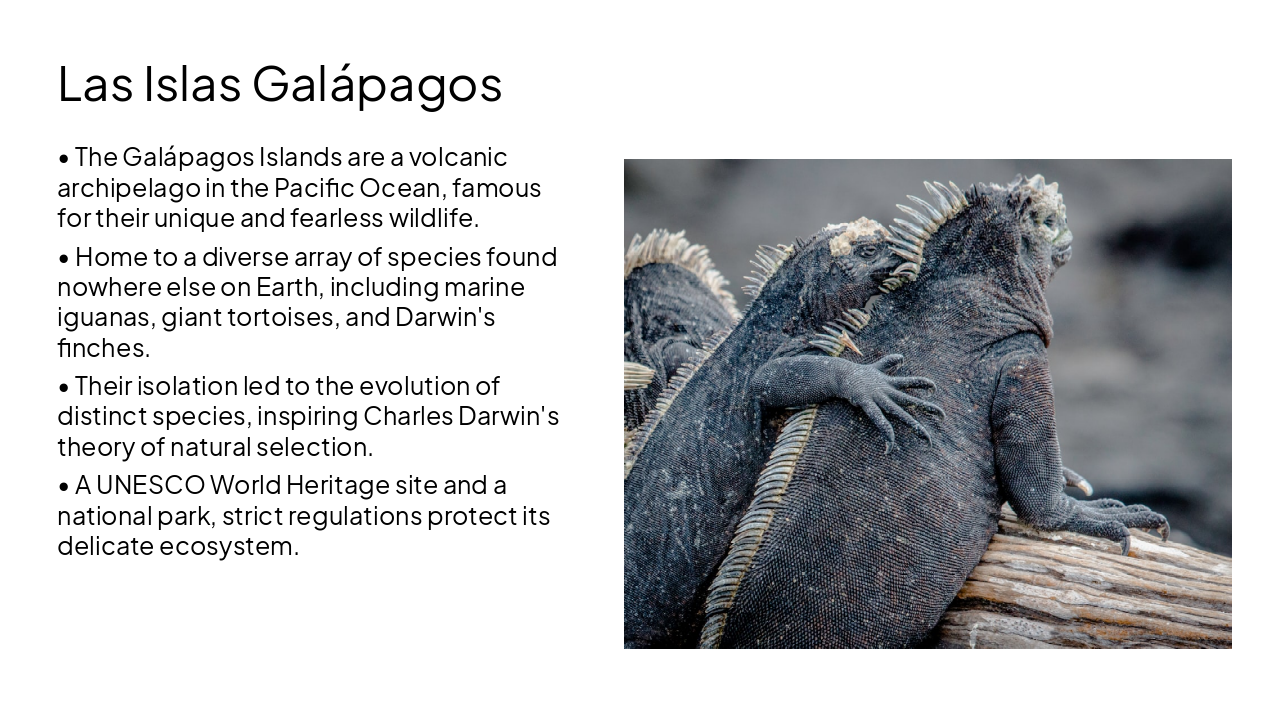 Slide 14 - Las Islas Galápagos