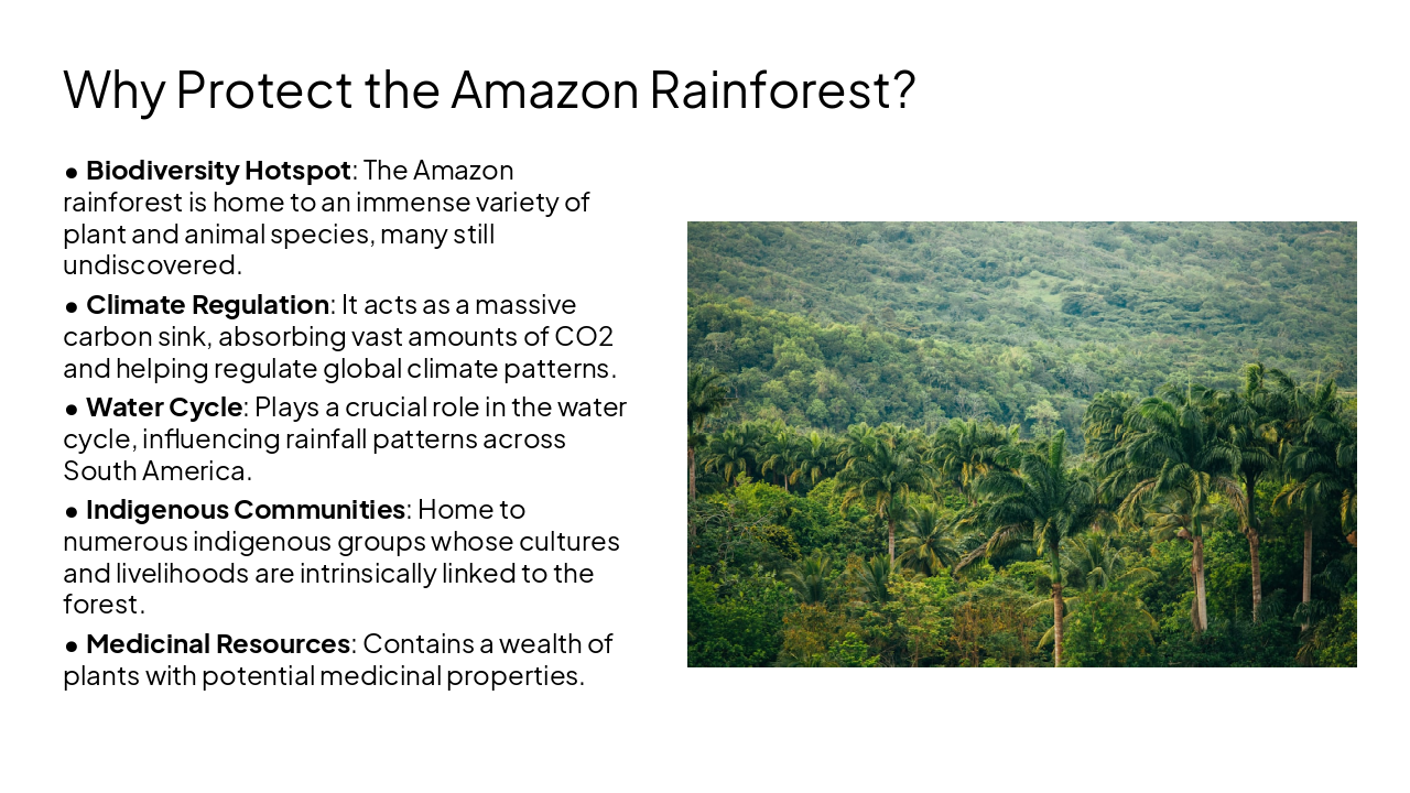 Slide 17 - Why Protect the Amazon Rainforest?