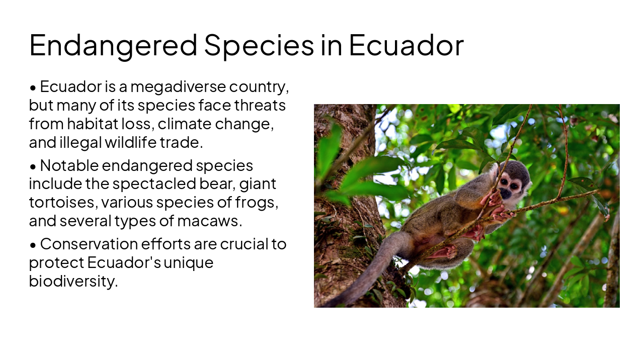 Slide 11 - Endangered Species in Ecuador