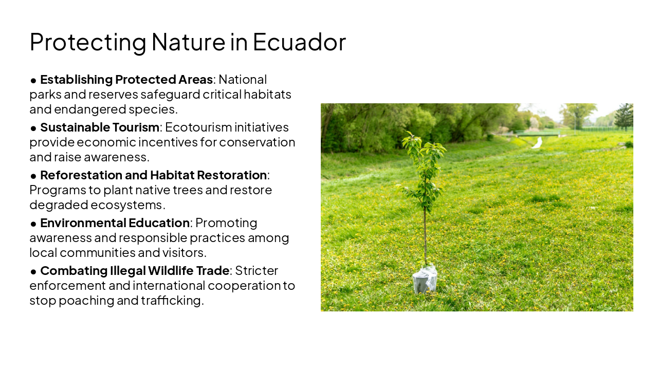 Slide 16 - Protecting Nature in Ecuador