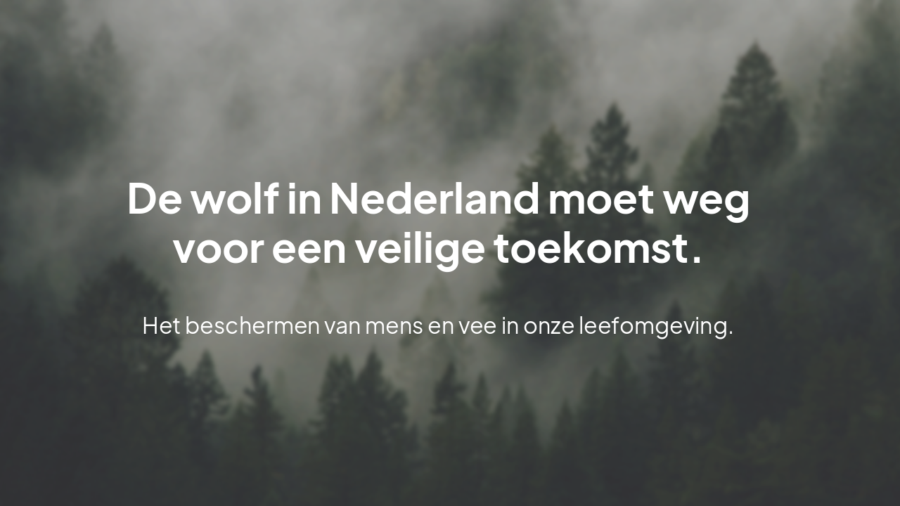 Slide 6 - Conclusie en Samenvatting