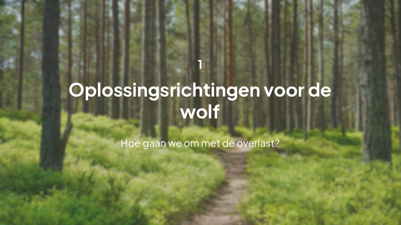 Slide 4 - Beheer en oplossingen