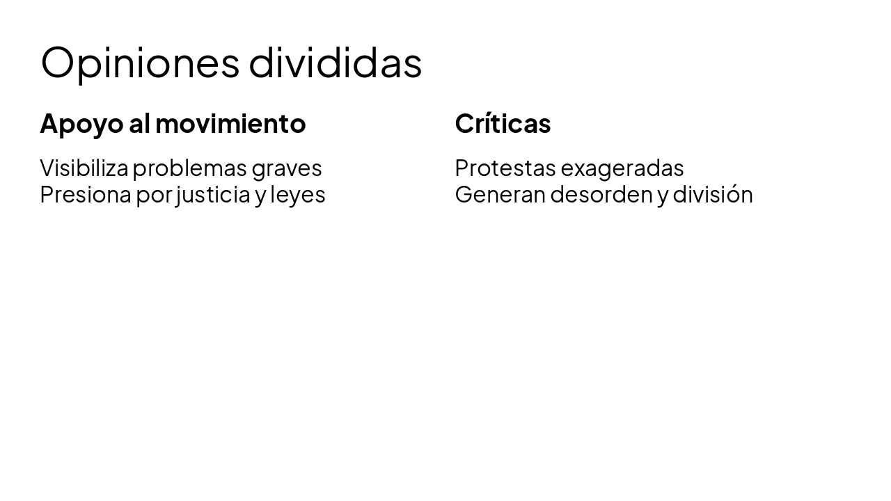 Slide 15 - Opiniones divididas