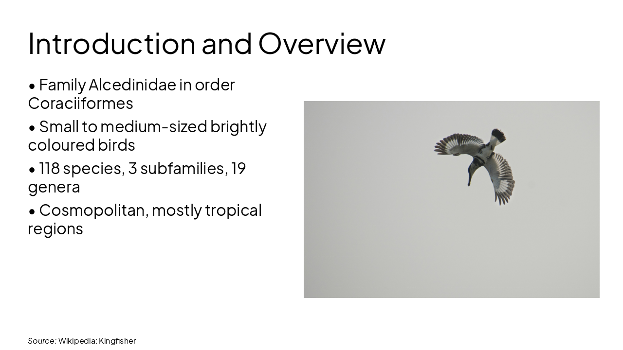Slide 2 - Introduction and Overview
