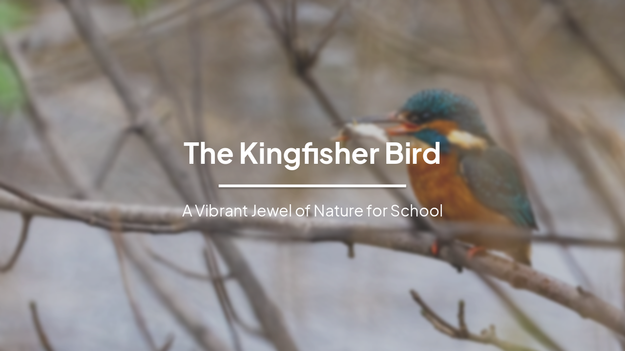 Slide 1 - The Kingfisher Bird