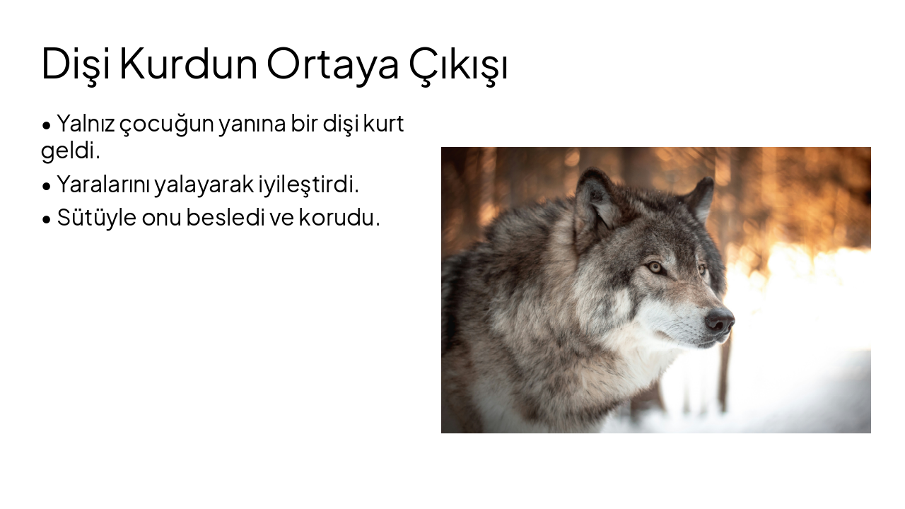 Slide 4 - Dişi Kurdun Ortaya Çıkışı