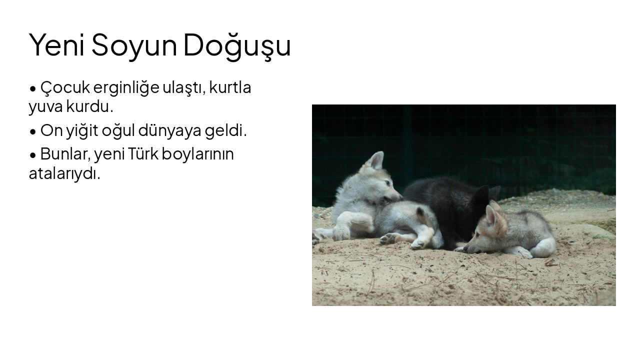 Slide 6 - Yeni Soyun Doğuşu