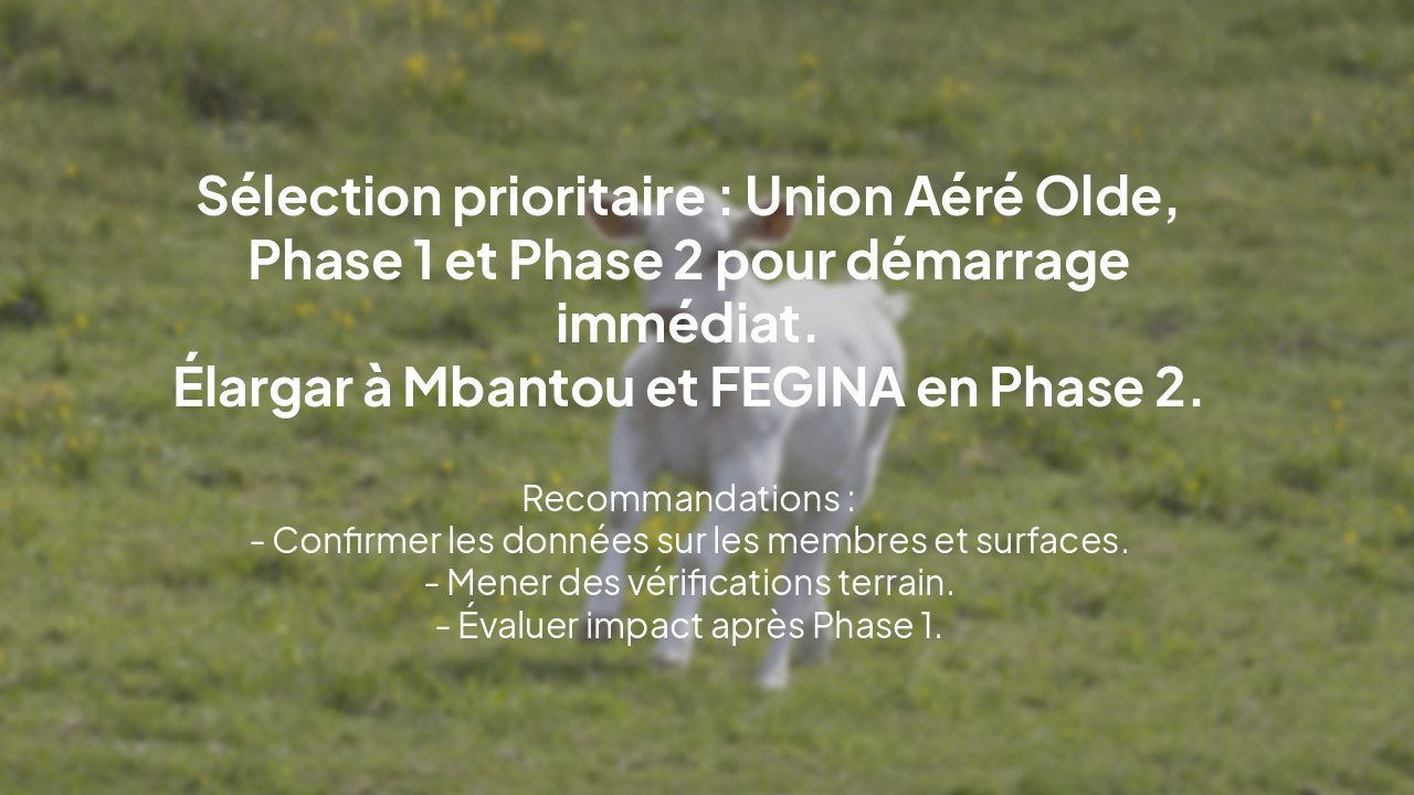 Slide 12 - Conclusion et Recommandations