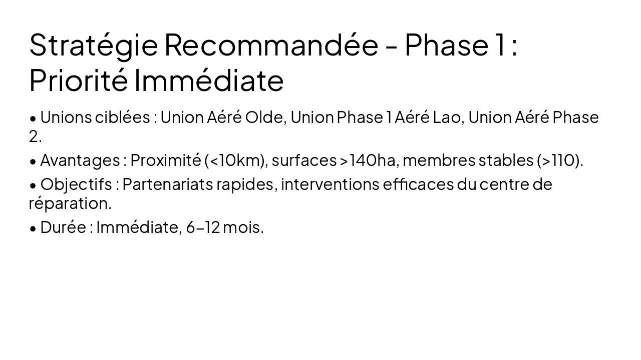 Slide 10 - Stratégie Recommandée - Phase 1 : Priorité Immédiate