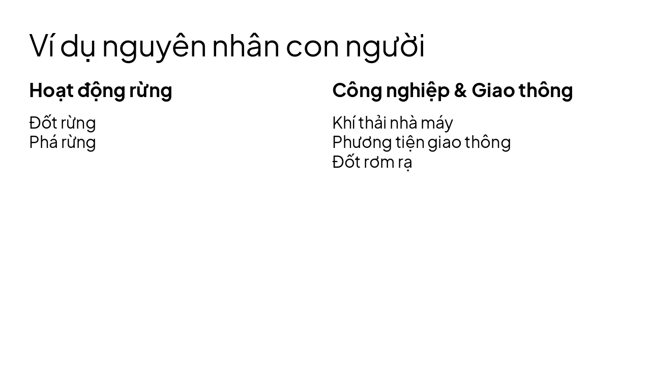 Slide 7 - Ví dụ nguyên nhân con người