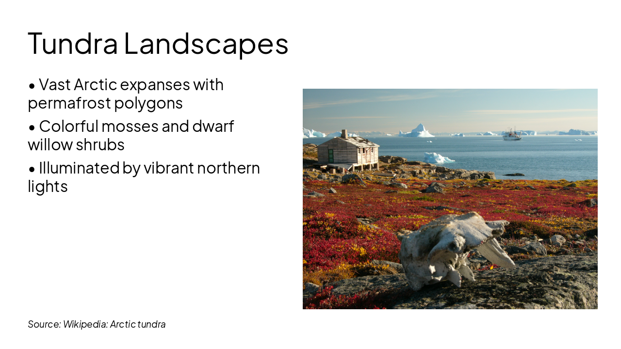 Slide 8 - Tundra Landscapes