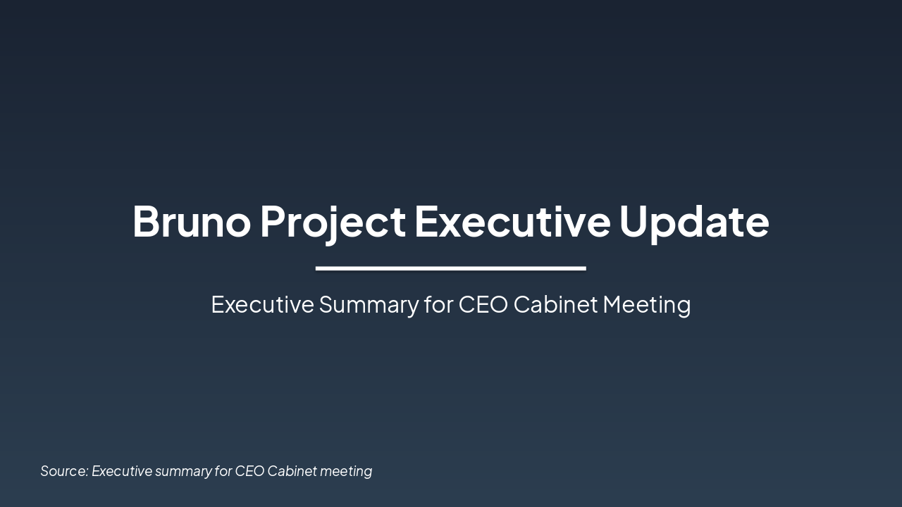 Bruno Project Executive Update