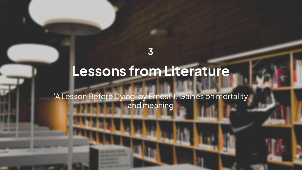 Slide 8 - Section 3: Literary Perspective