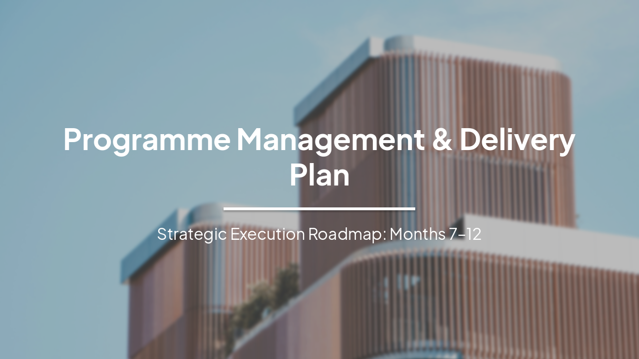 Programme Management & Delivery Plan: Months 7-12