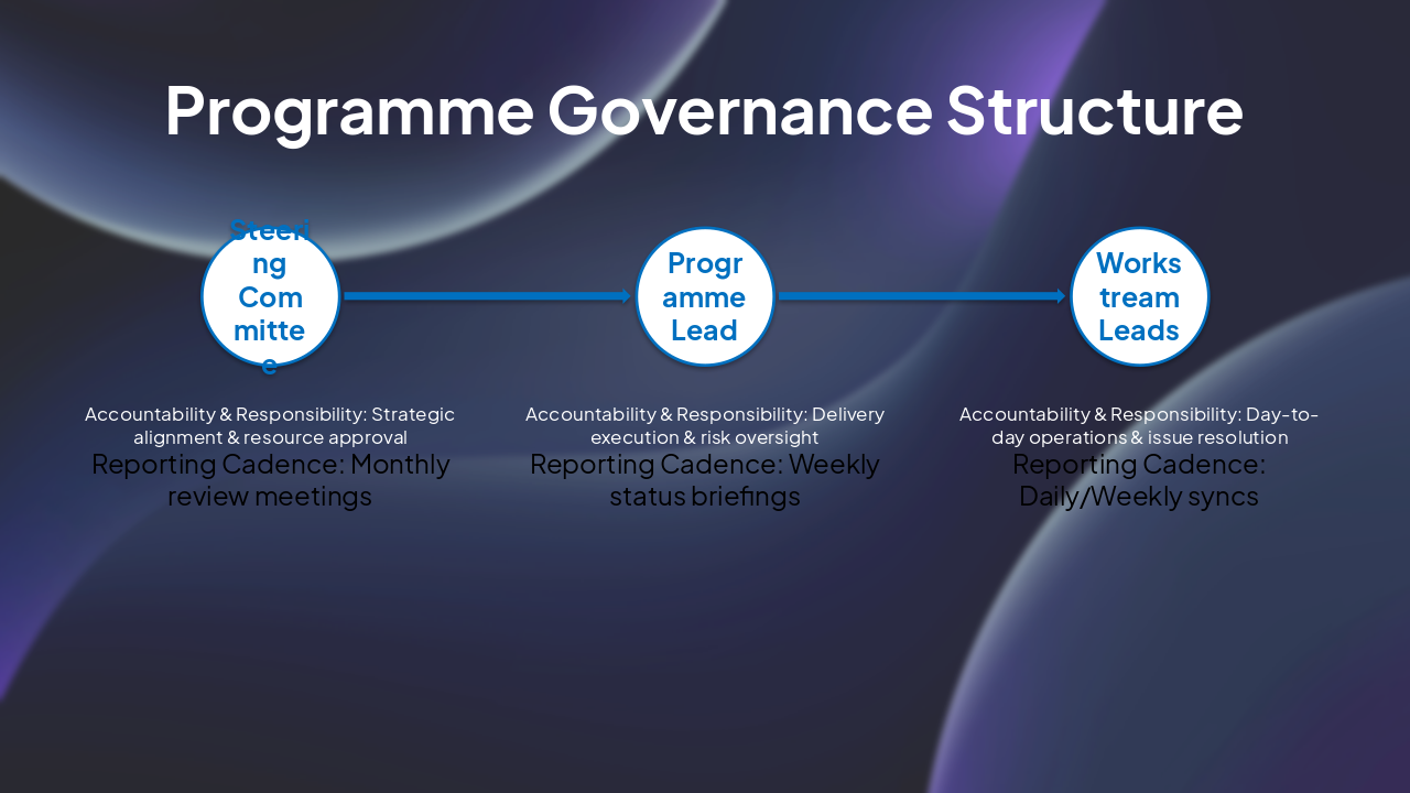 Slide 9 - Programme Governance Structure