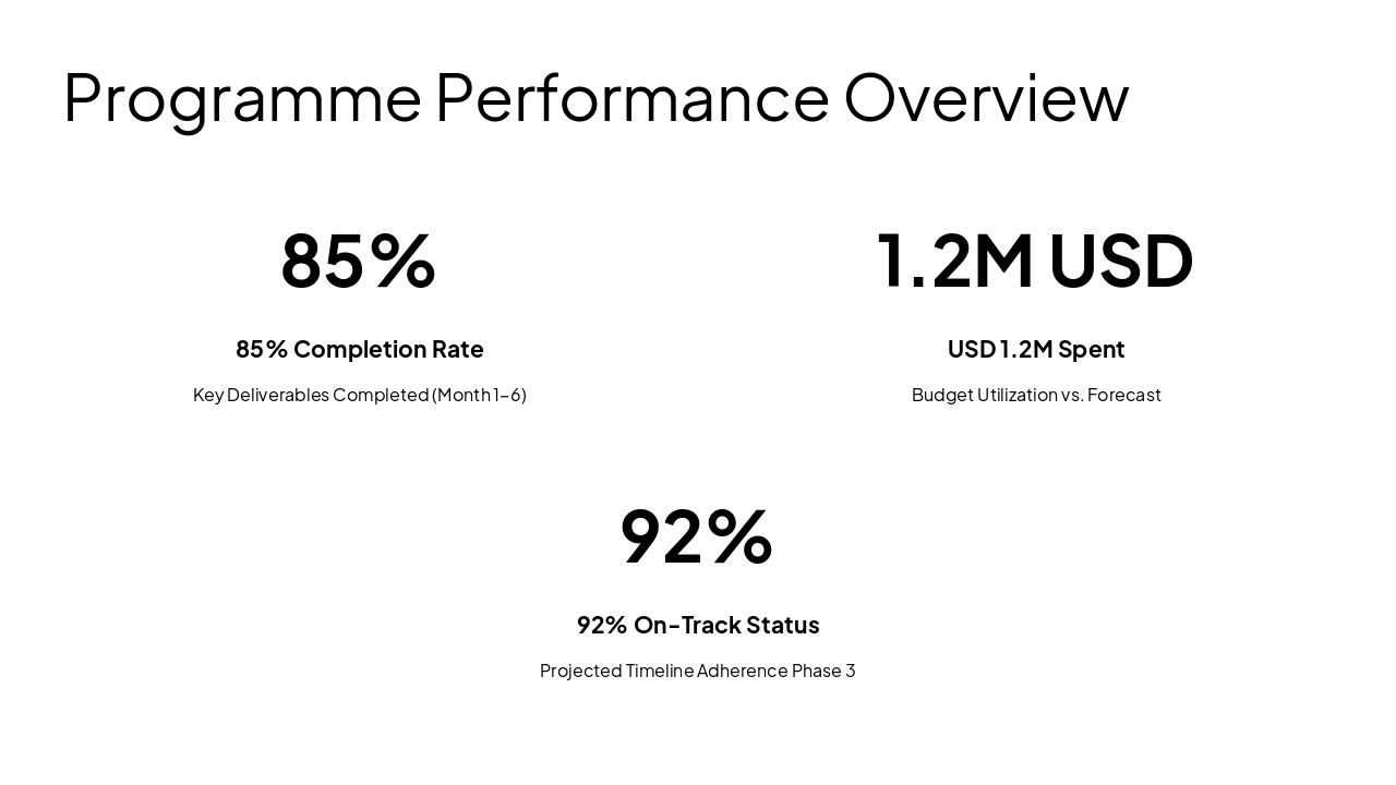 Slide 4 - Programme Performance Overview