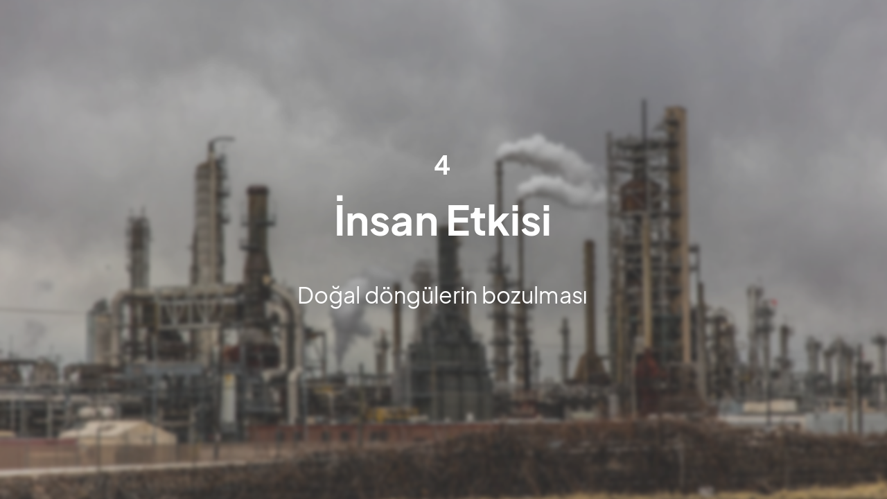 Slide 10 - İnsan Faaliyetleri