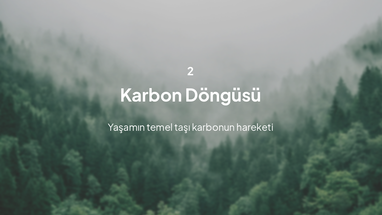 Slide 5 - Karbon Döngüsü