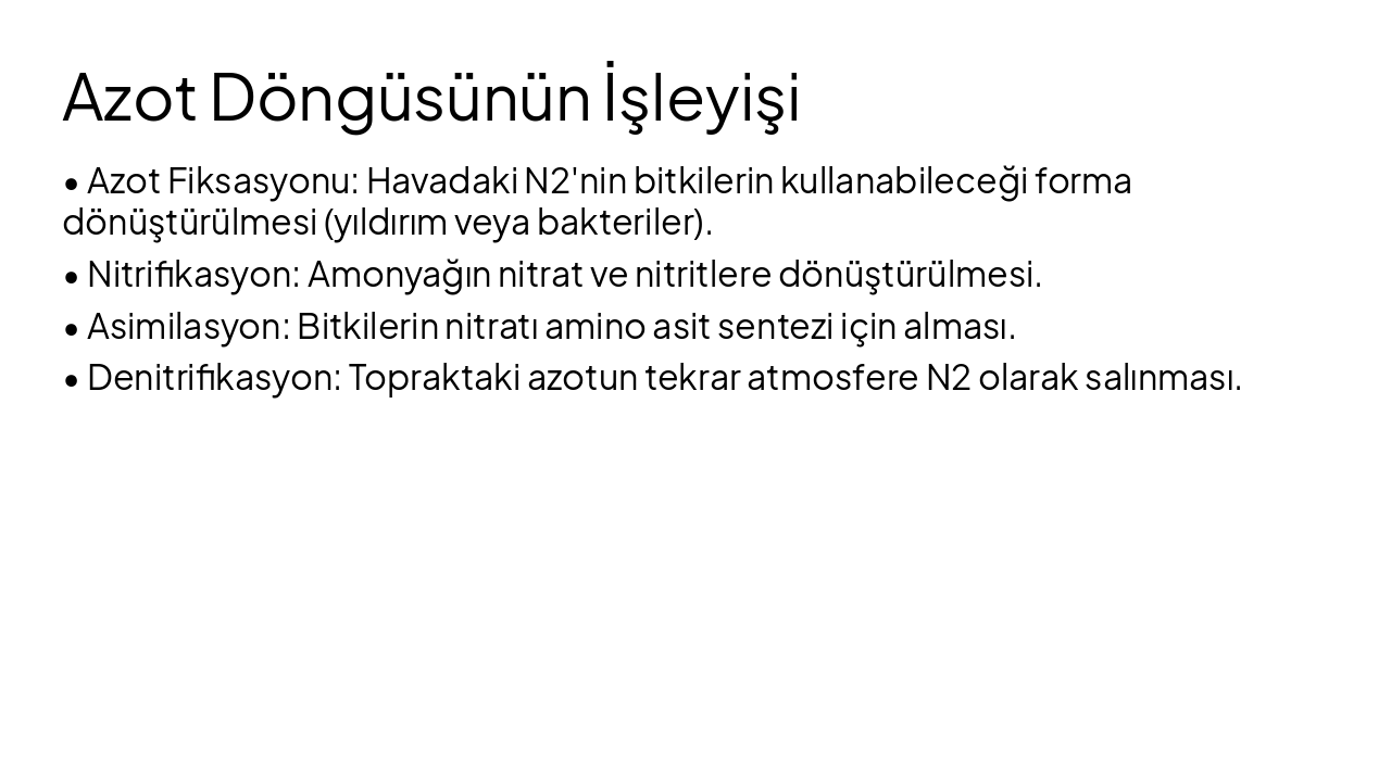 Slide 8 - Azot Döngüsünün İşleyişi