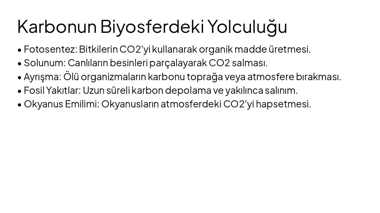 Slide 6 - Karbonun Biyosferdeki Yolculuğu