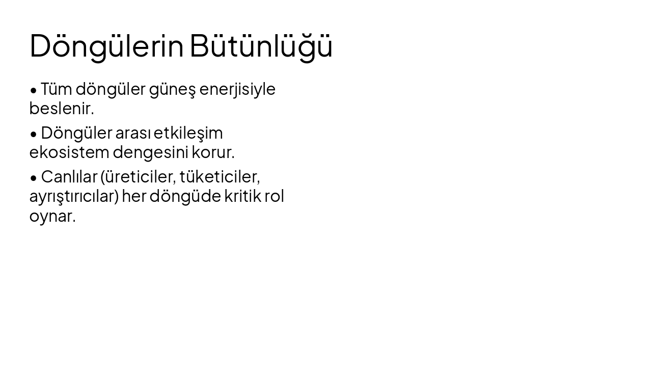 Slide 9 - Döngülerin Bütünlüğü