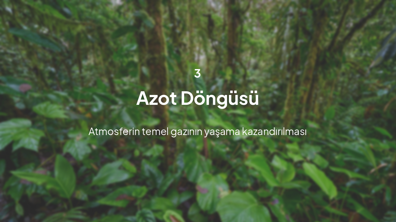 Slide 7 - Azot Döngüsü