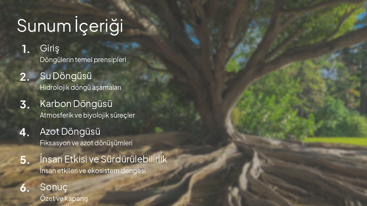 Slide 2 - Sunum İçeriği